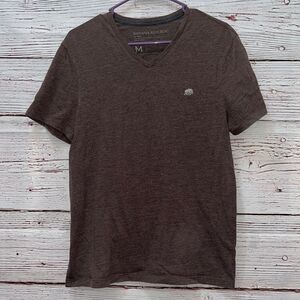 Banana Republic Mens Brown V-Neck Tee